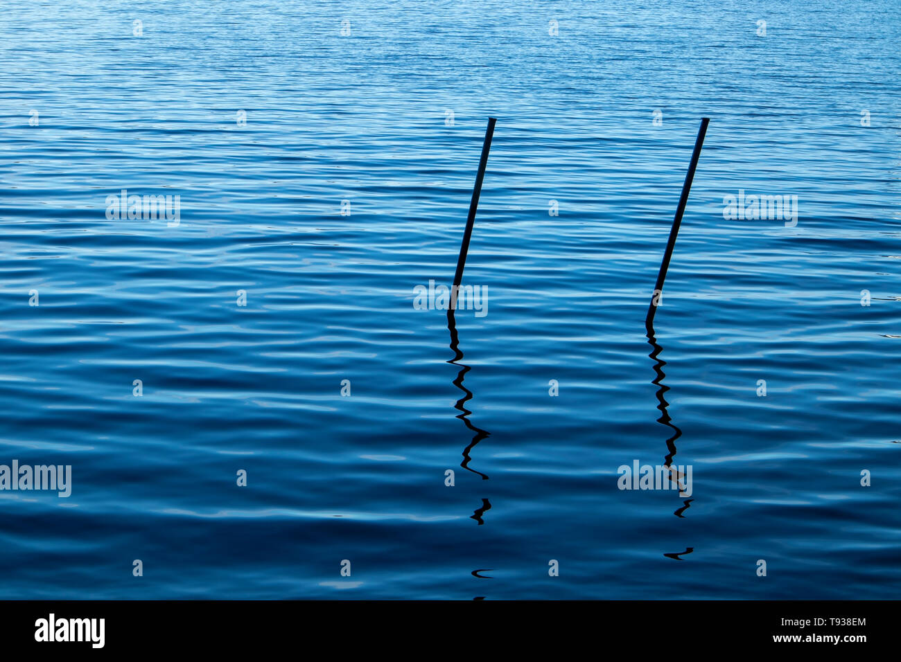 two poles in the water Stock Photo