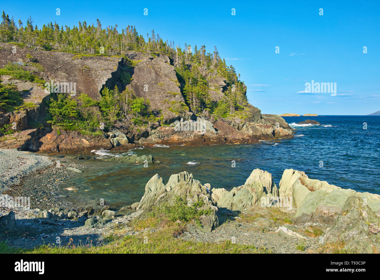 Rocky shoreline along the Atlantic Ocean. Baie Verte Peninsula. Coachman's Cove Newfoundland