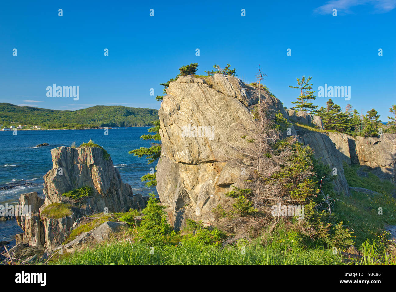 Rocky shoreline along the Atlantic Ocean. Baie Verte Peninsula. Coachman's Cove Newfoundland