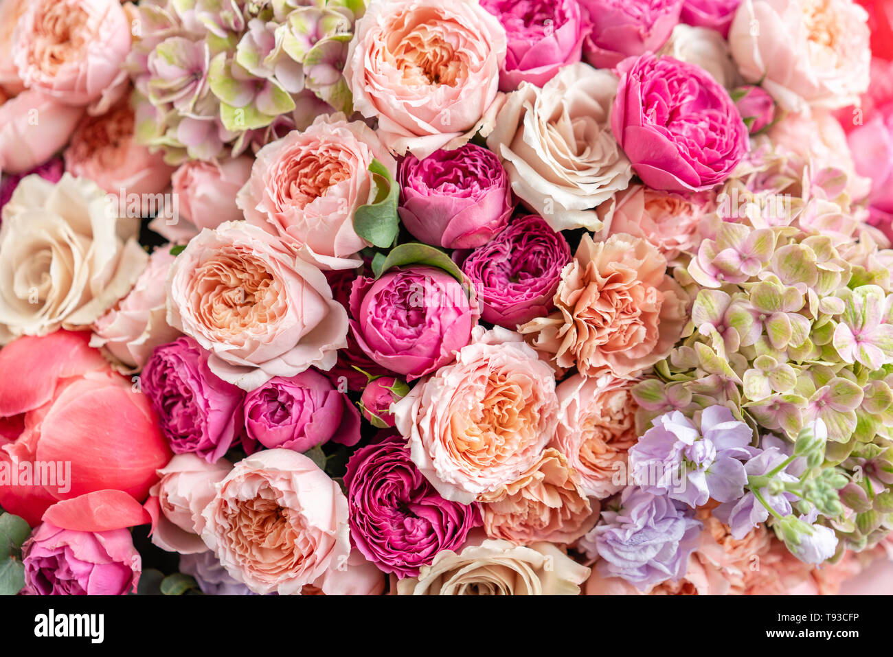 Close-up Large Beautiful bouquet of mixed flowers. Flower background and  Wallpaper. Floral shop concept . Beautiful fresh cut bouquet. Flowers Stock  Photo - Alamy