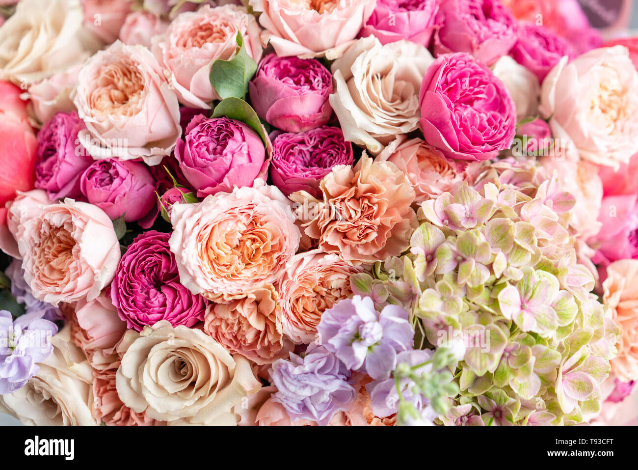 Close-up Large Beautiful bouquet of mixed flowers. Flower background and  Wallpaper. Floral shop concept . Beautiful fresh cut bouquet. Flowers Stock  Photo - Alamy