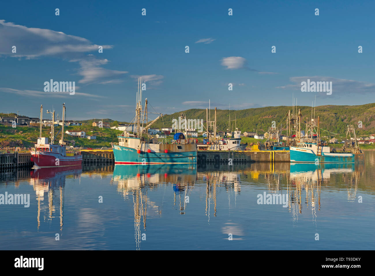 Fishing boats in La Scie Harbour off the Atlantic Ocean. Baie Verte