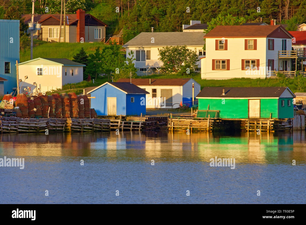 FIshing village at sunrise. Bonavista Bay. Salvage Newfoundland