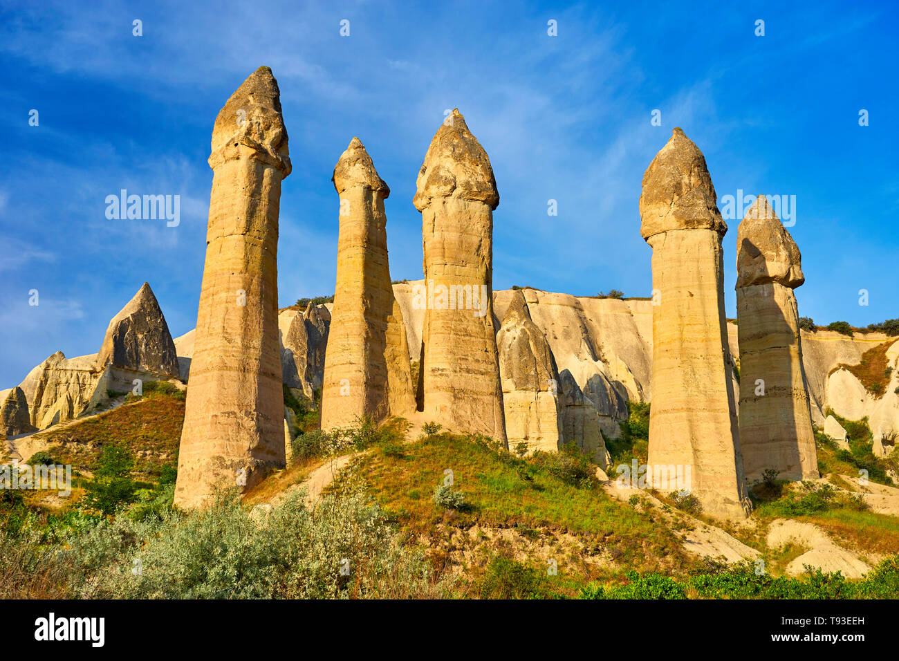 Fairy Chimneys rock formation in Love Valley, Cappadocia, Goreme, Turkey Stock Photo