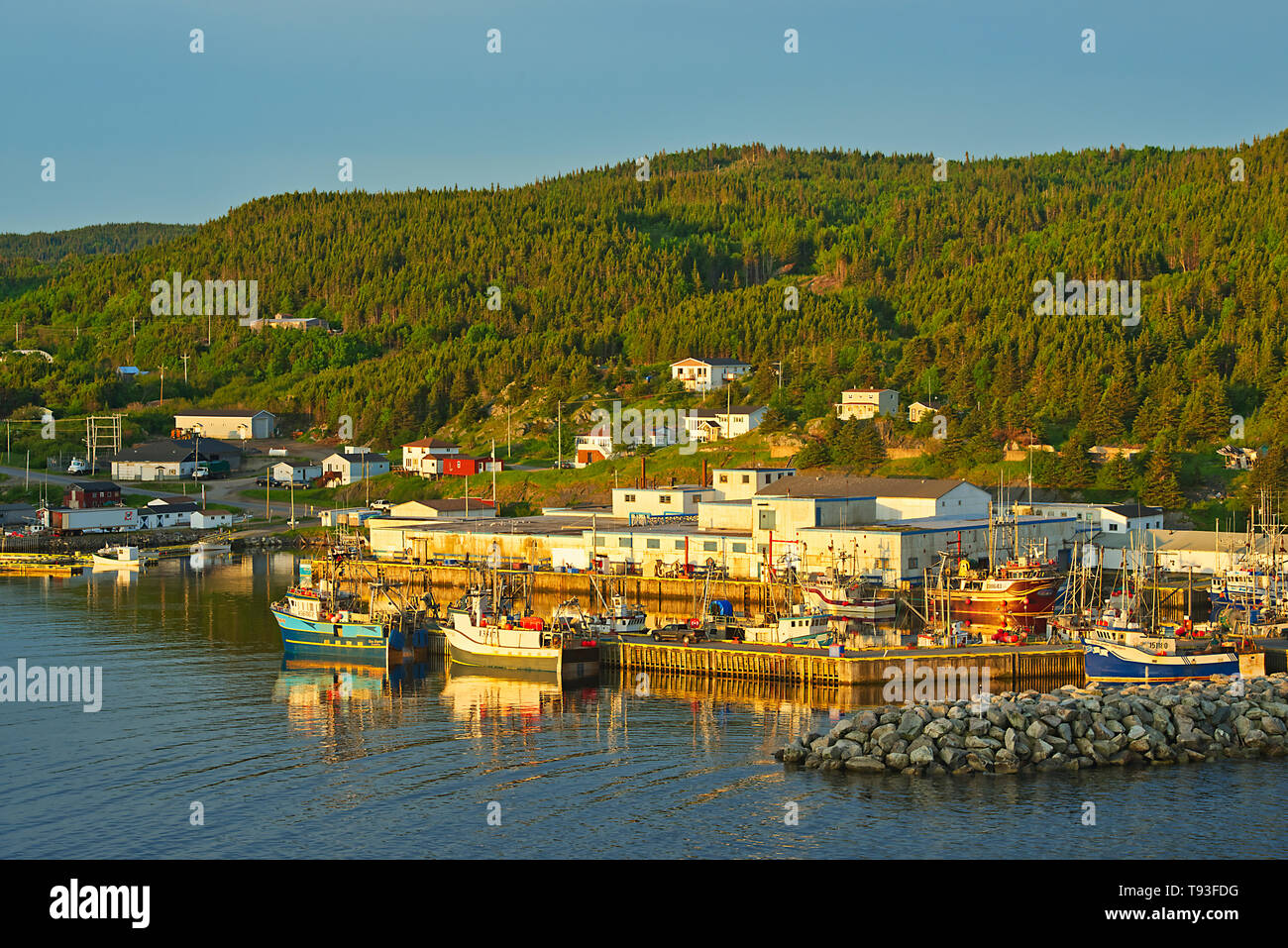 Fishing village in La Scie Harbour off the Atlantic Ocean, Baie Verte
