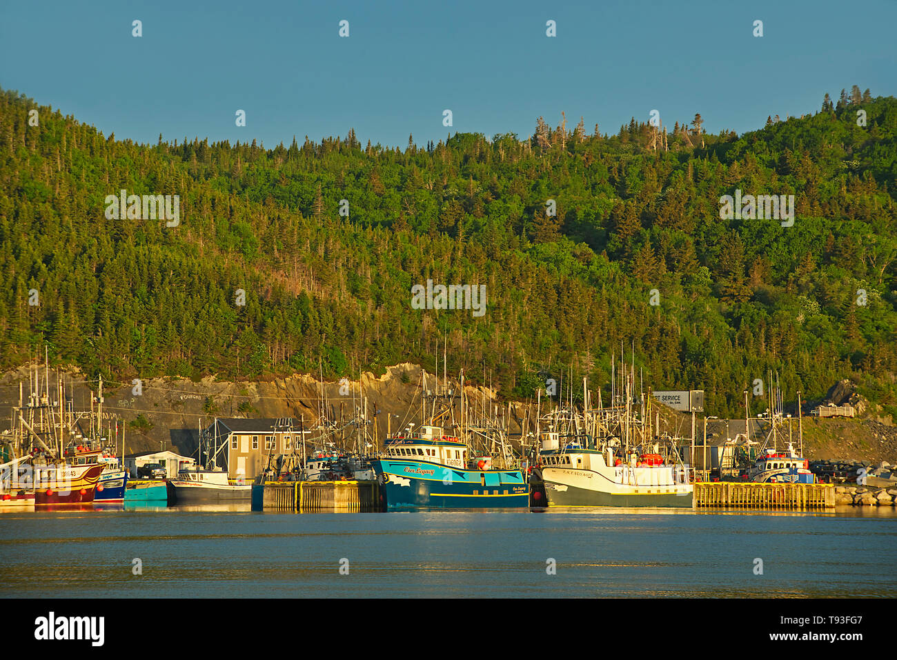 Fishing village in La Scie Harbour off the Atlantic Ocean, Baie Verte