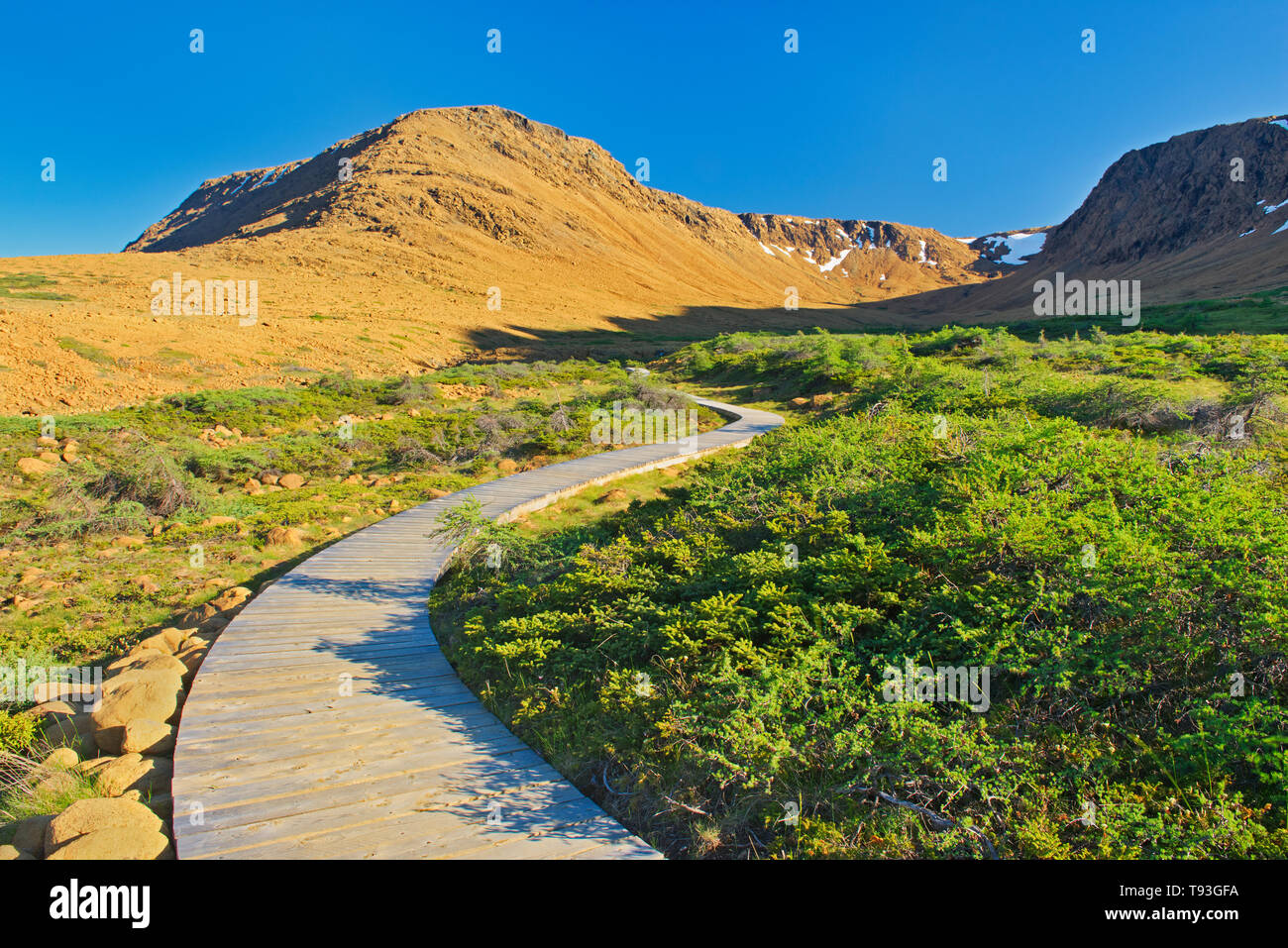 Boardwalk on trail at the Tablelands at sunset. Earth's mantle exposed