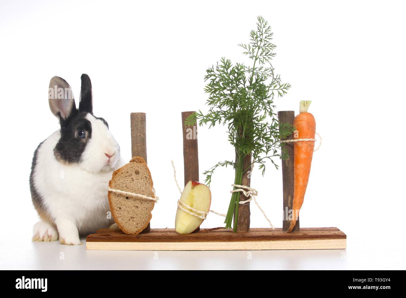 Domestic rabbit bread hi-res stock photography and images - Alamy