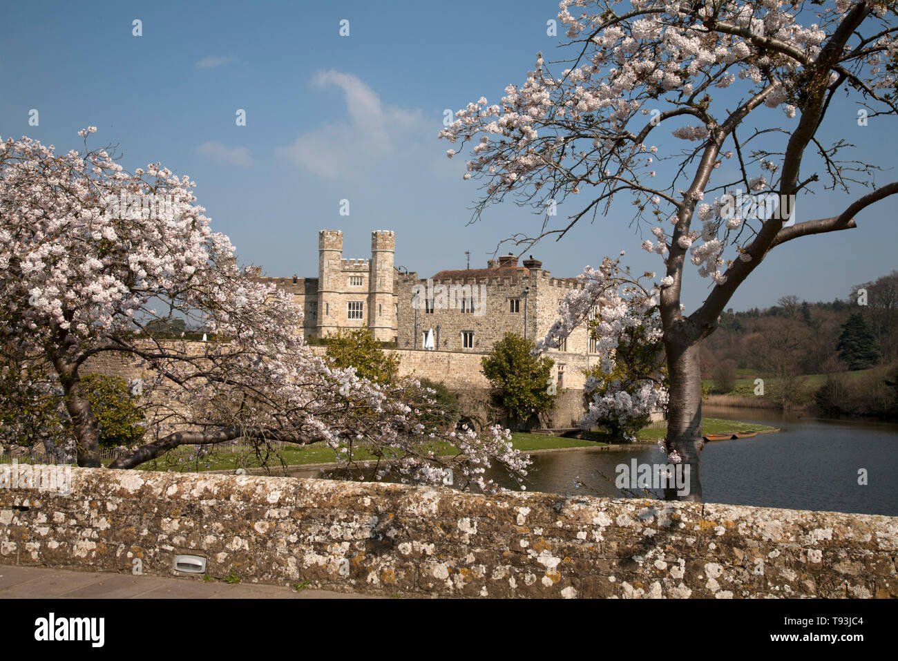 blossom and moat leeds castle maidstone kent england Stock Photo