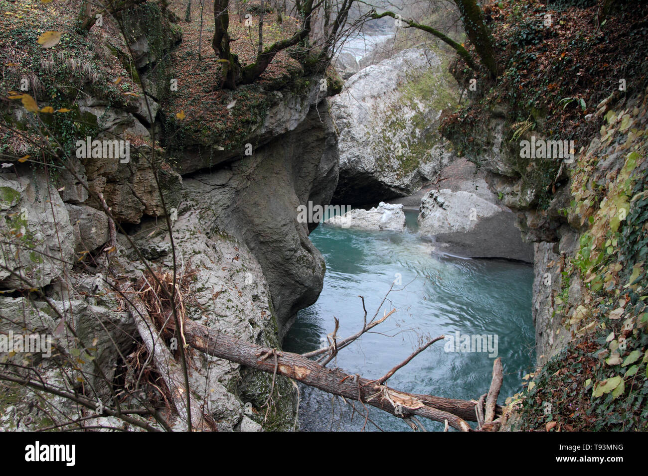 Trapped tree trunks hang over the water in the Khadzhokhskaya gorge. Adygea. Stock Photo