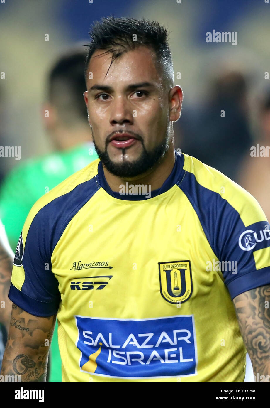 Chile Football League 1 Division - Campeonato Nacional AFP PlanVital 2019 /  ( Audax Club Sportivo Italiano ) - Ivan Patricio Ledezma Ahumada Stock  Photo - Alamy