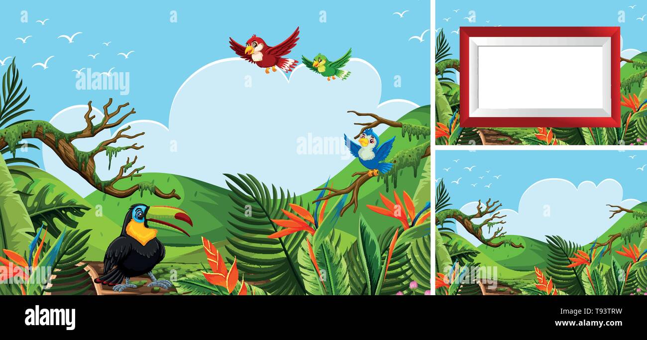 Set of bird in nature illustration Stock Vector Image & Art - Alamy