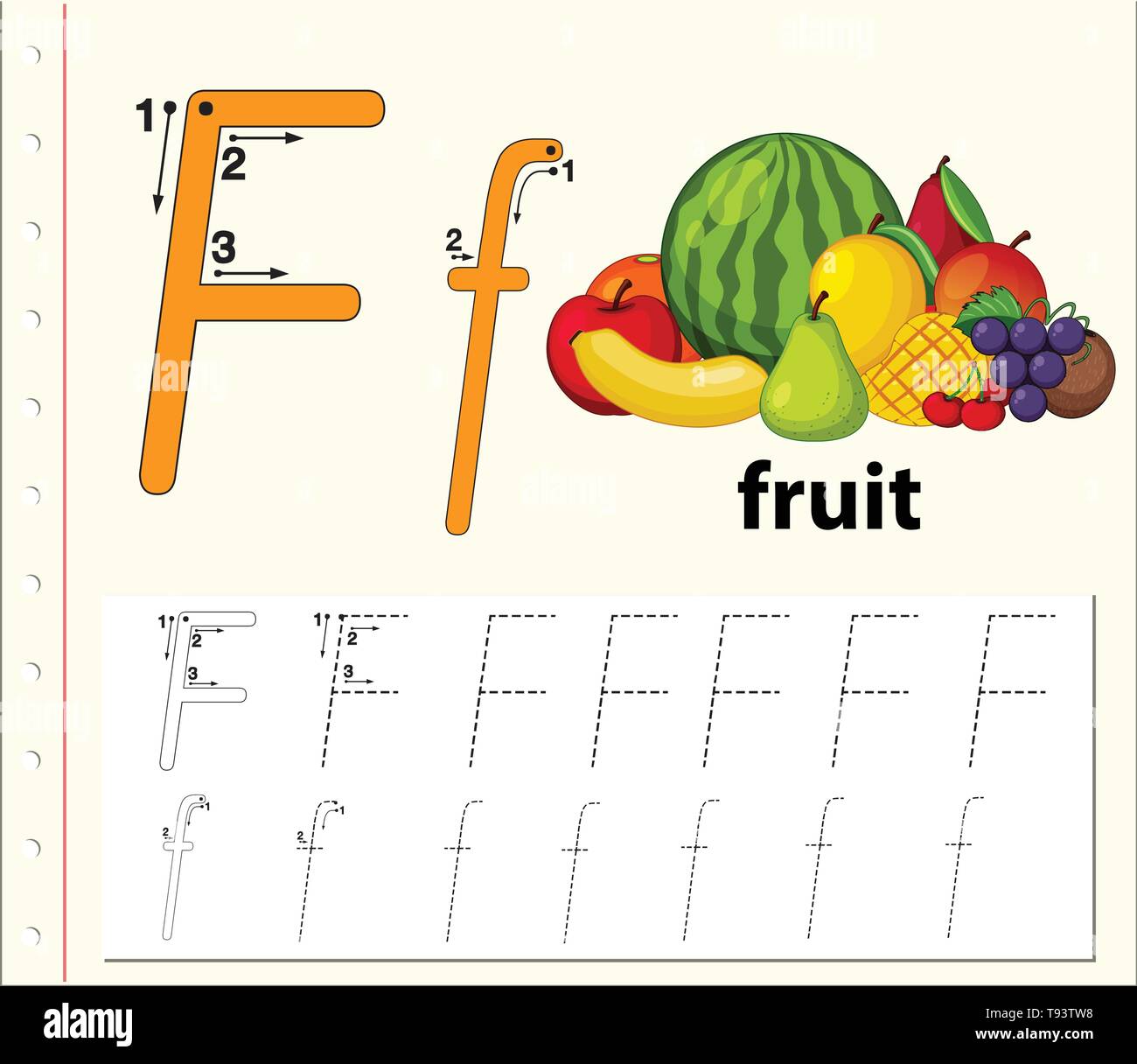 Letter F tracing alphabet worksheets illustration Stock Vector