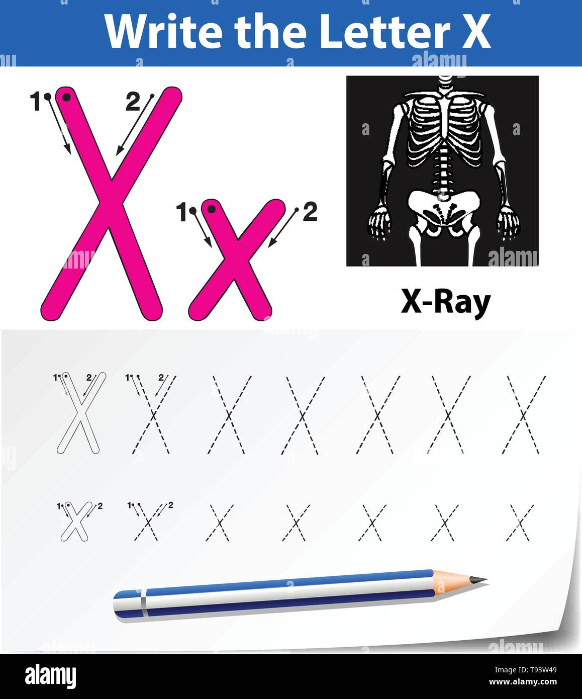 letter x tracing alphabet worksheets illustration stock vector image art alamy