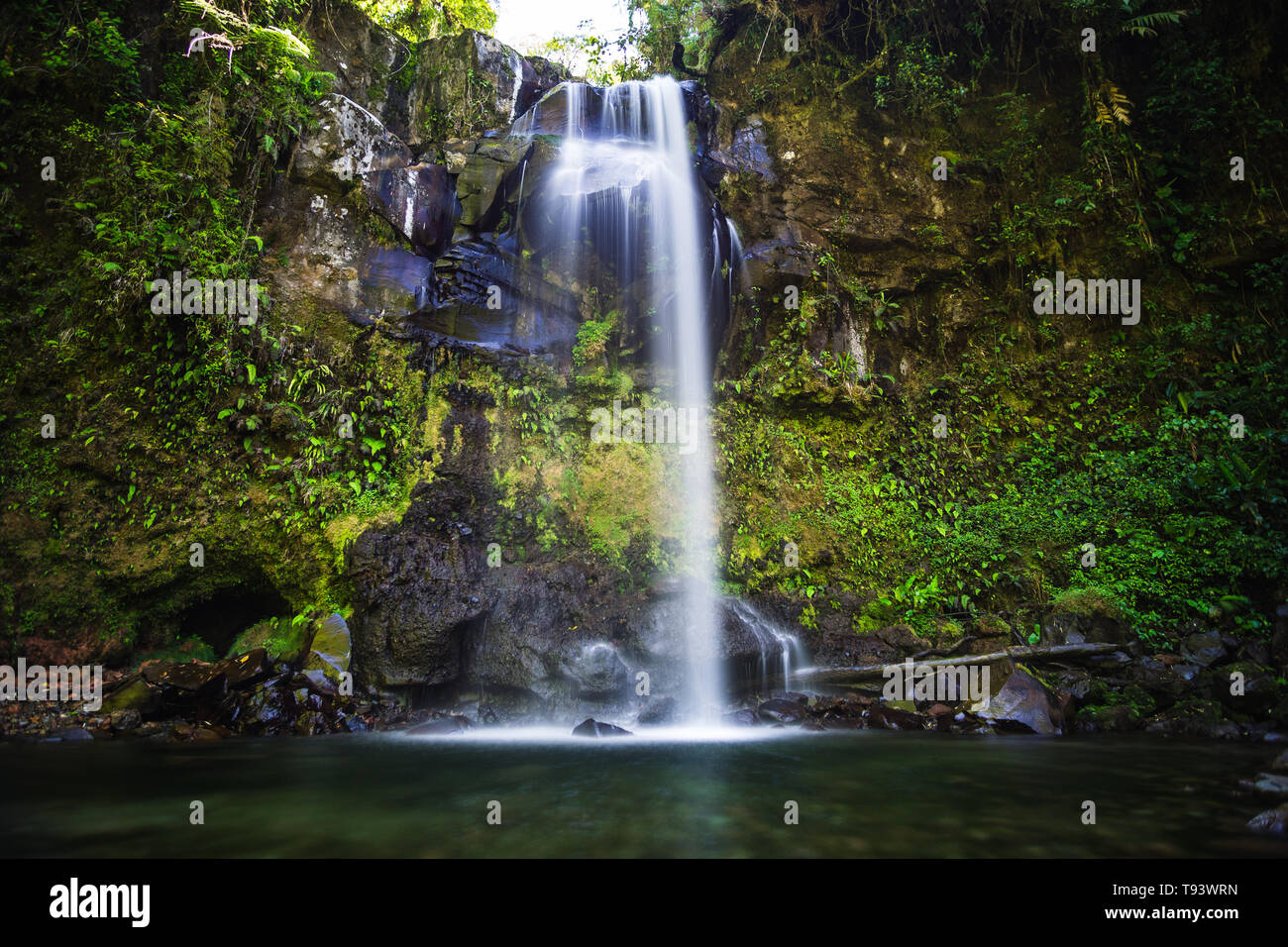 Lost Waterfall in Boquete Panama Beautiful Scenery Stock Photo