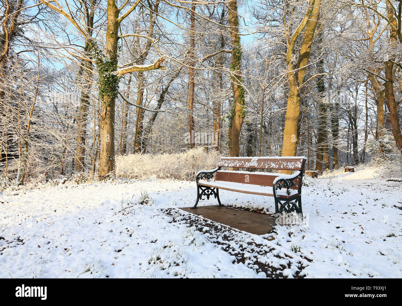 A snow covered park bench Stock Photo