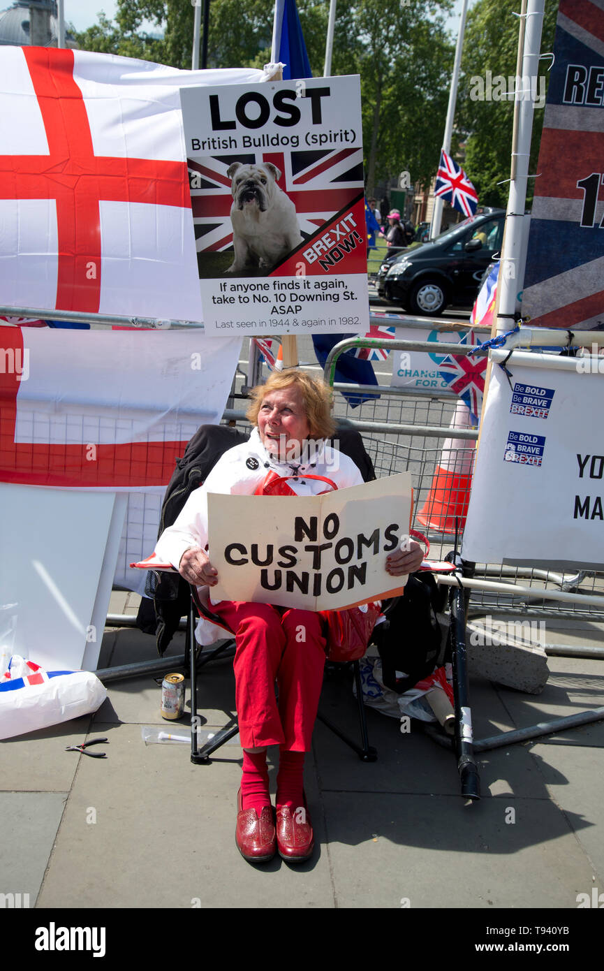 Parliament Square, Westminster, London. May 16th 2019. Leave protester with sign saying 'No Customs Union'. Stock Photo