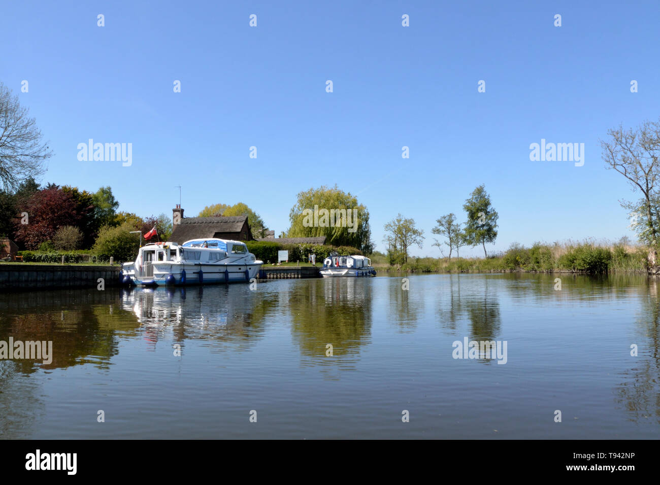 Holiday cruisers moored at Irstead Staithe on the River Ant, Broads National Park, Norfolk, UK Stock Photo