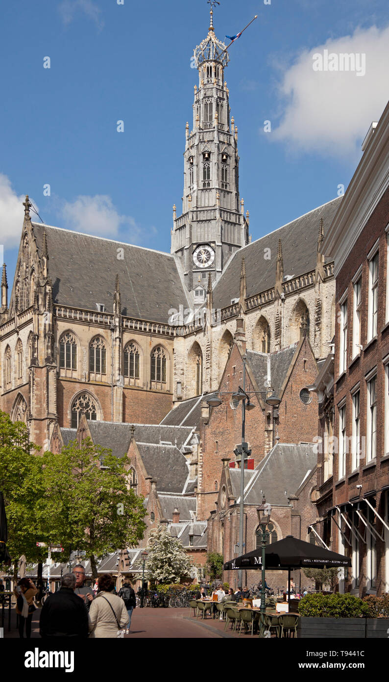 Haarlem, Belgium, Europe Stock Photo