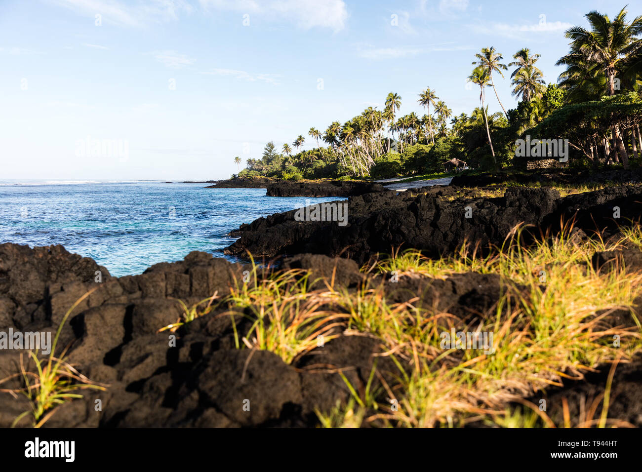 Polynesian Rocks Black volcanic rocks on beach in Polynesia with coconut palm trees ...