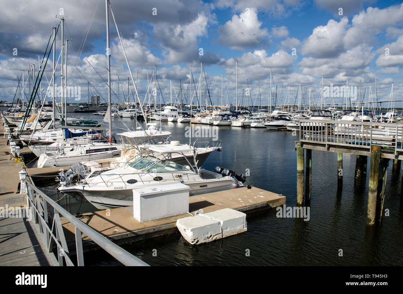Charleston Harbor Marina, Charleston, South Carolina Stock Photo - Alamy