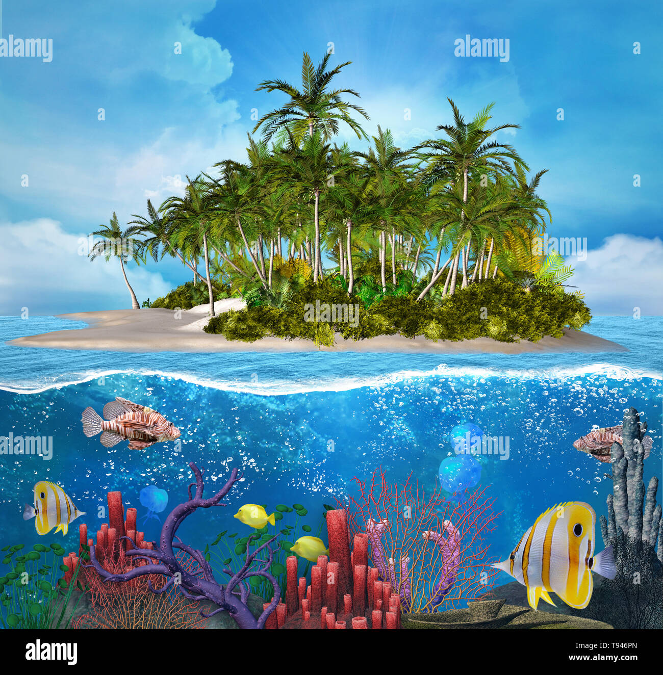 Coral reef with tropical fish in a tropical paradise scenery Stock Photo