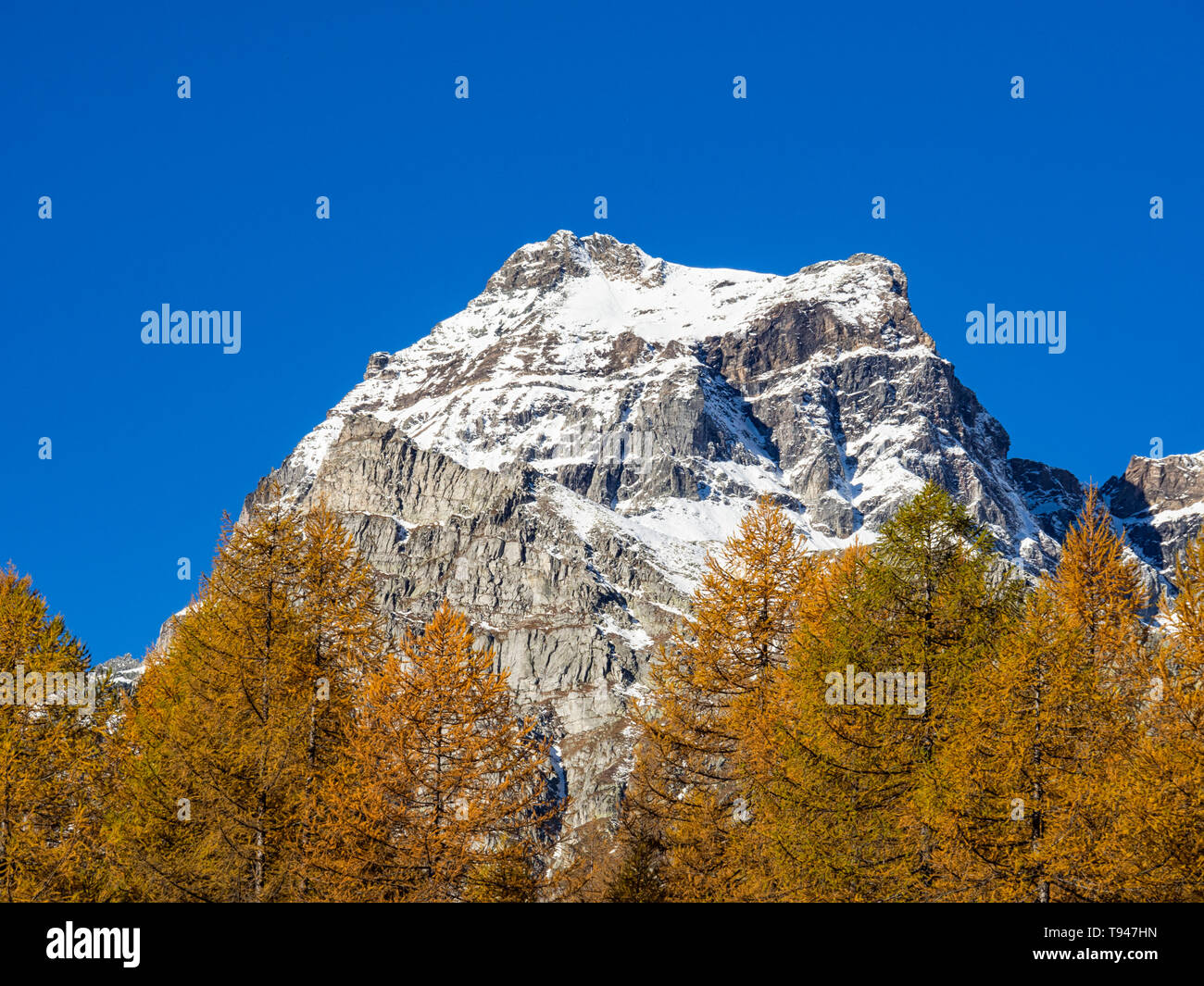 Landscape of Alpe Devero Valley Stock Photo - Alamy