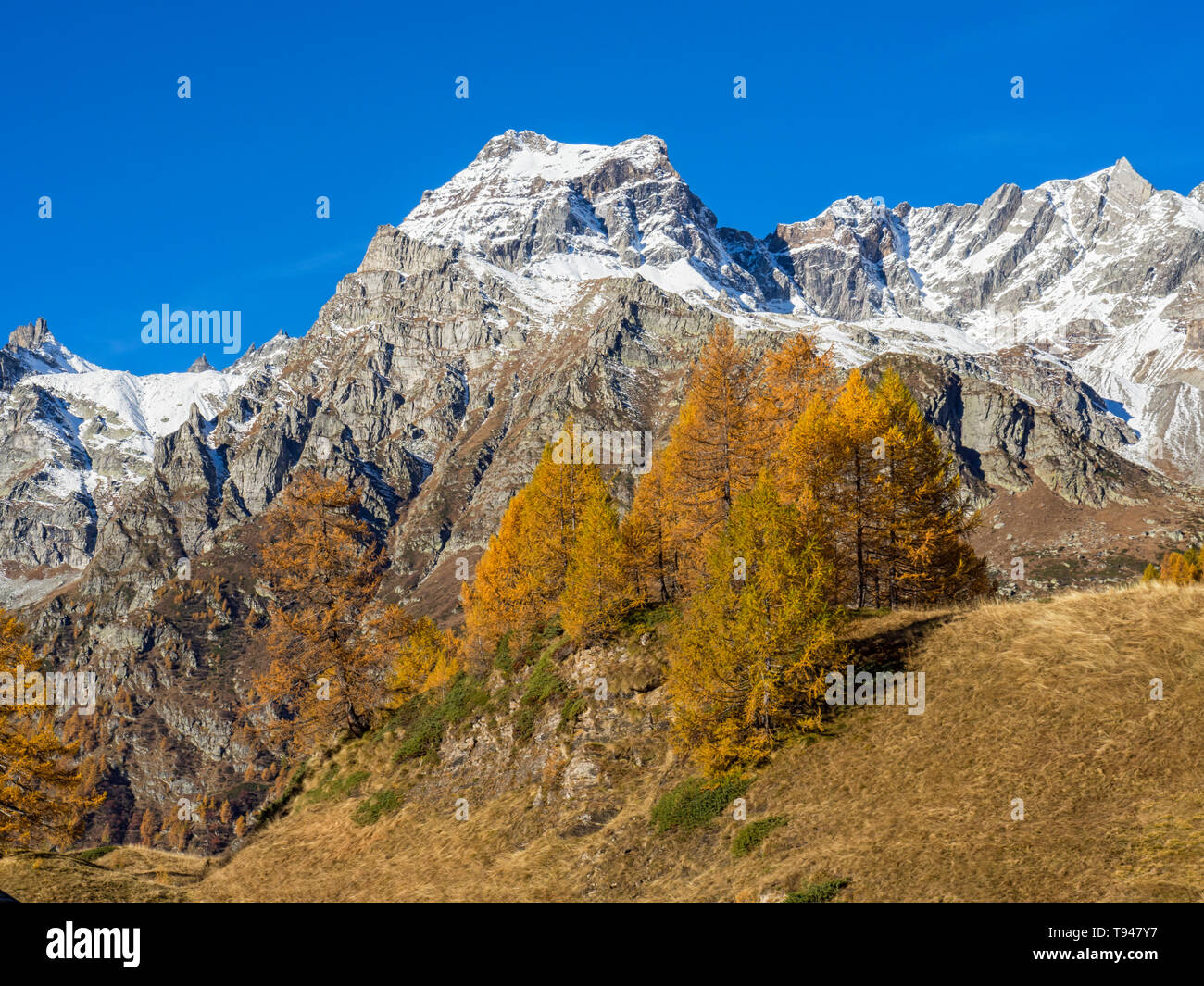 Landscape of Alpe Devero Valley Stock Photo - Alamy