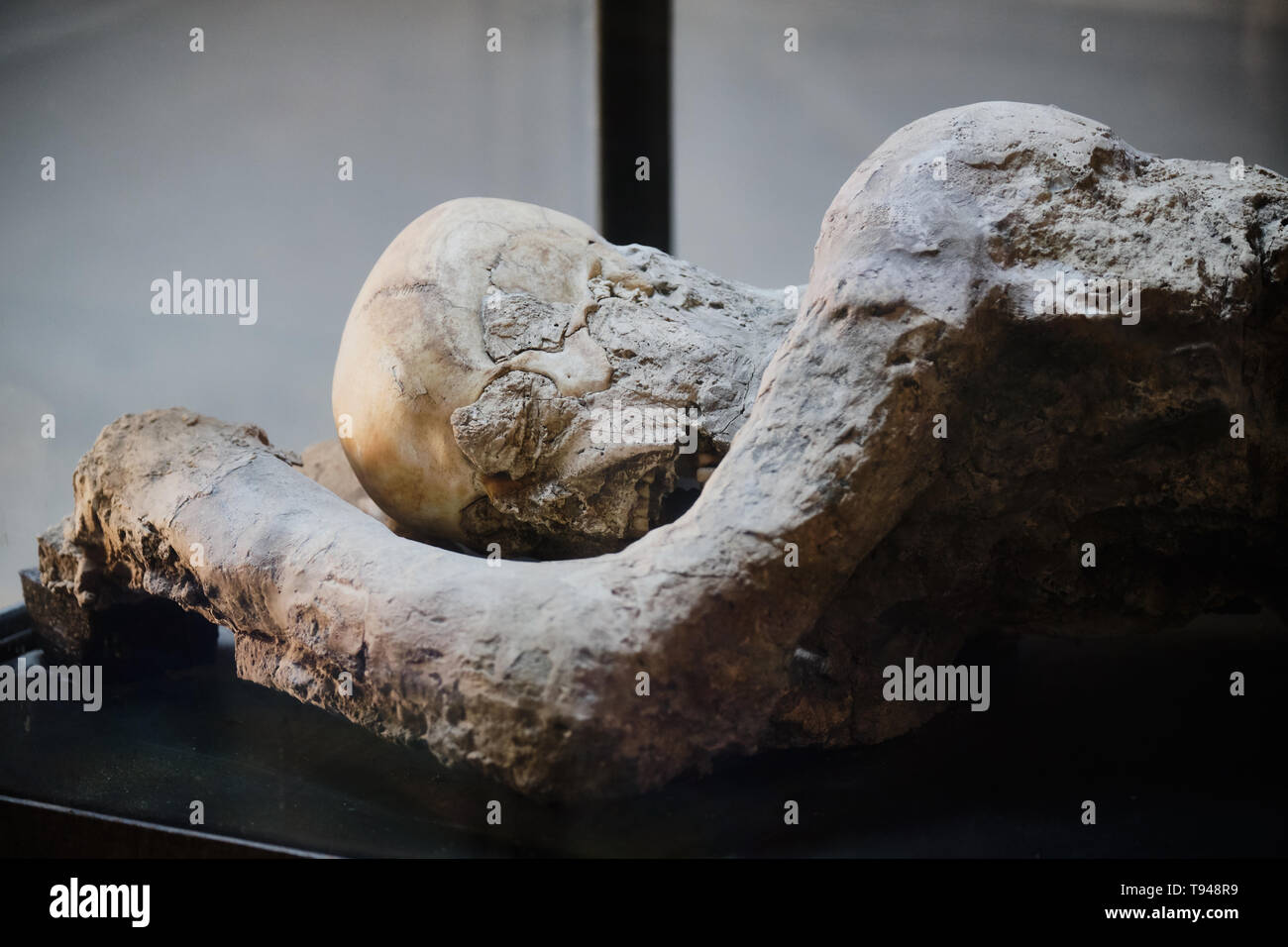 Pompeii victims covered by volcanic ash Stock Photo Alamy