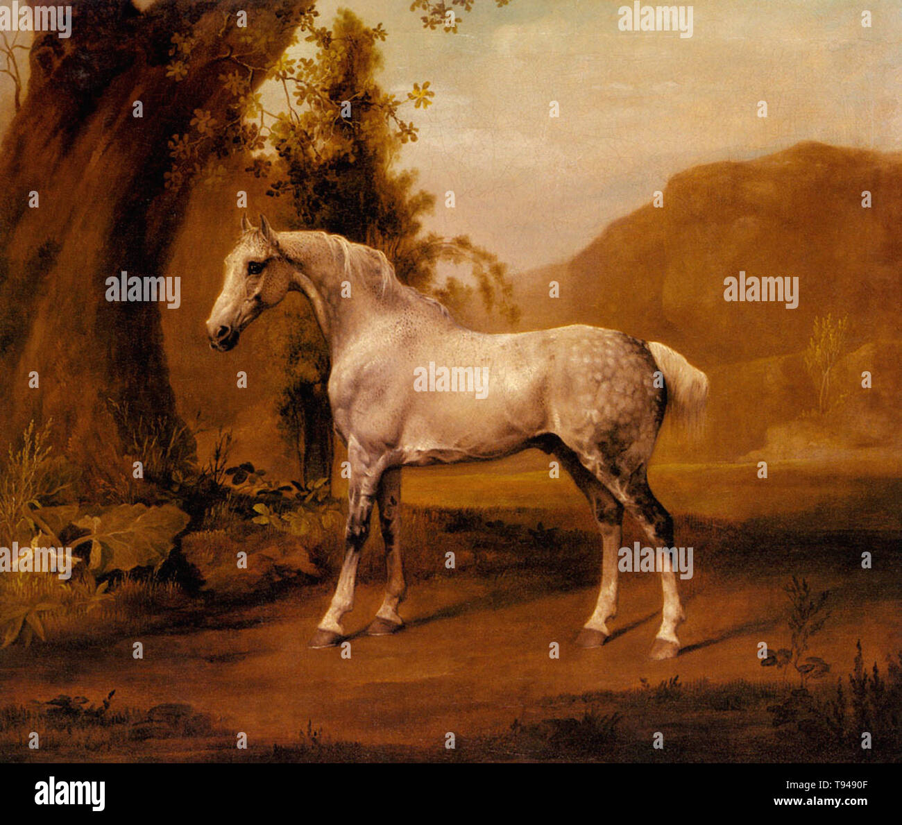 George Stubbs - grey stallion landscape Stock Photo