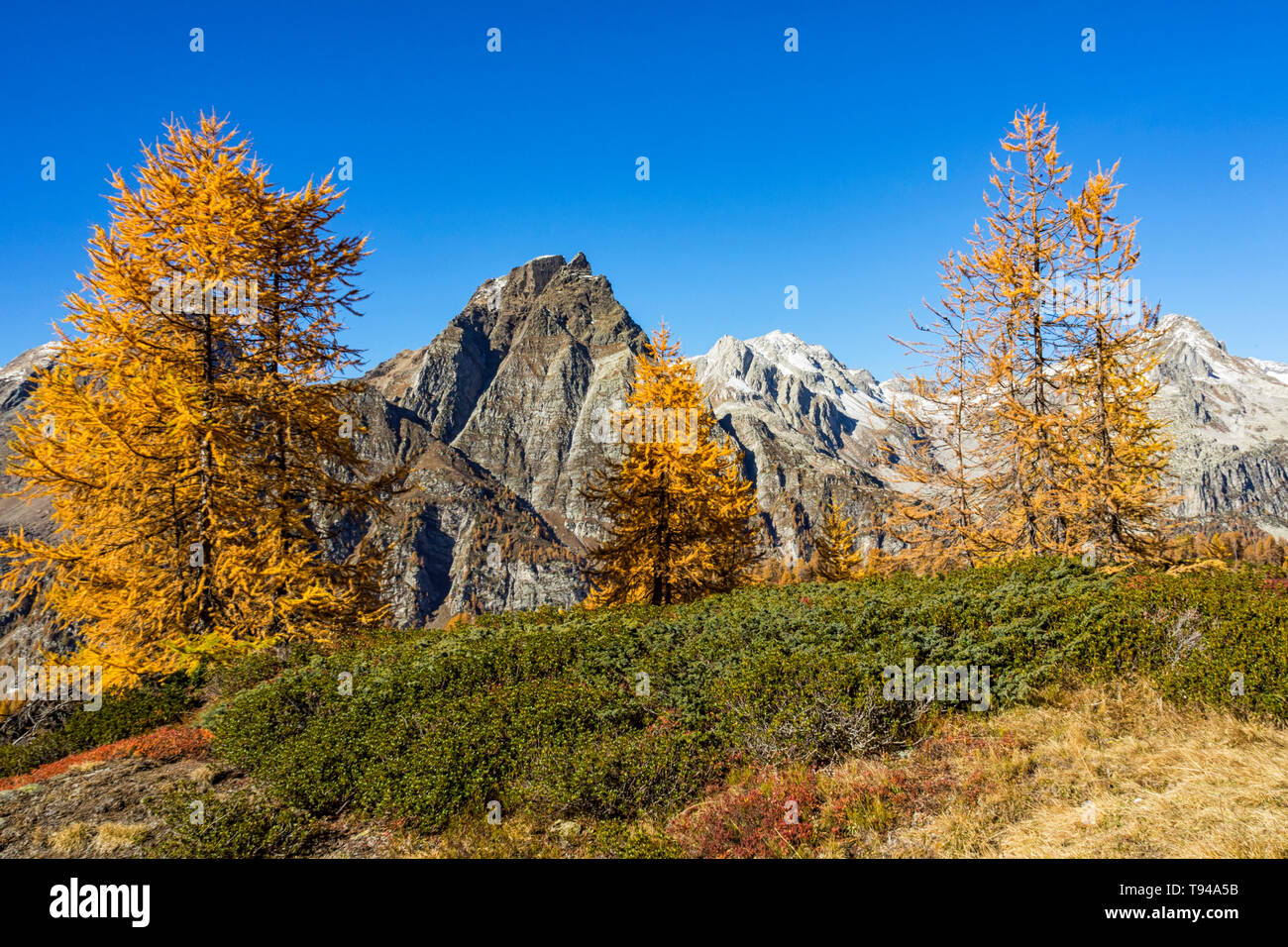 Landscape of Alpe Devero Valley Stock Photo - Alamy