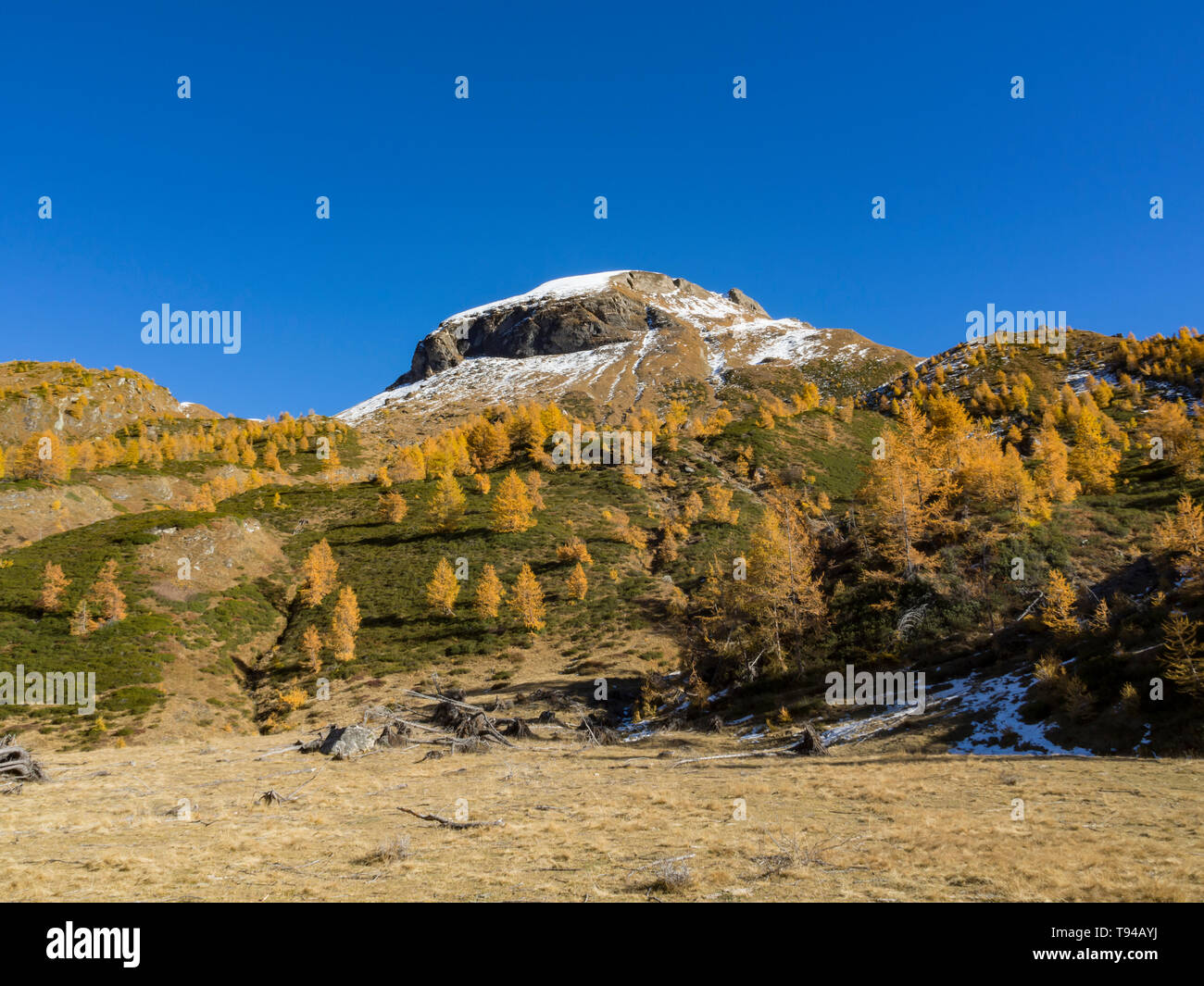 Landscape of Alpe Devero Valley Stock Photo - Alamy
