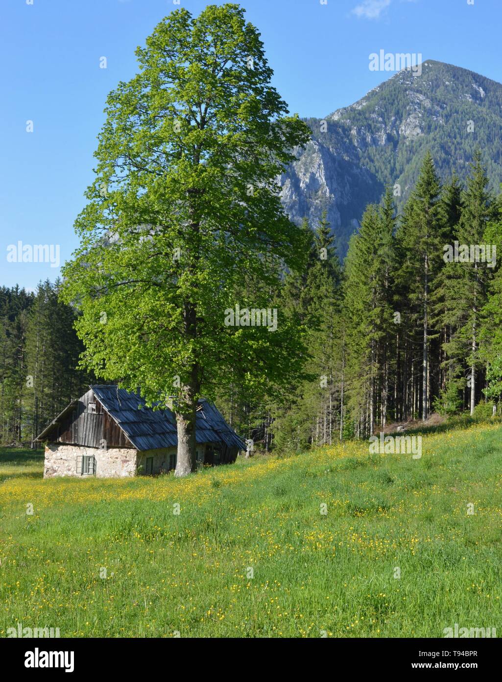 Mountain hut in green valley surrounded with mountains Stock Photo