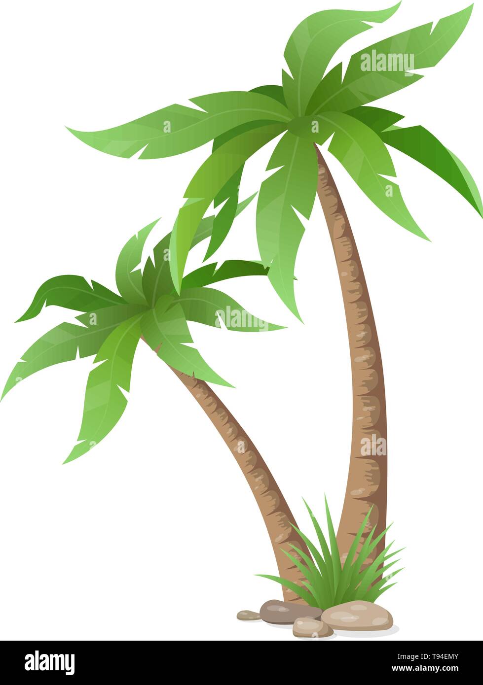 Two palms tree, grass and stones, isolated Stock Vector Image & Art Alamy