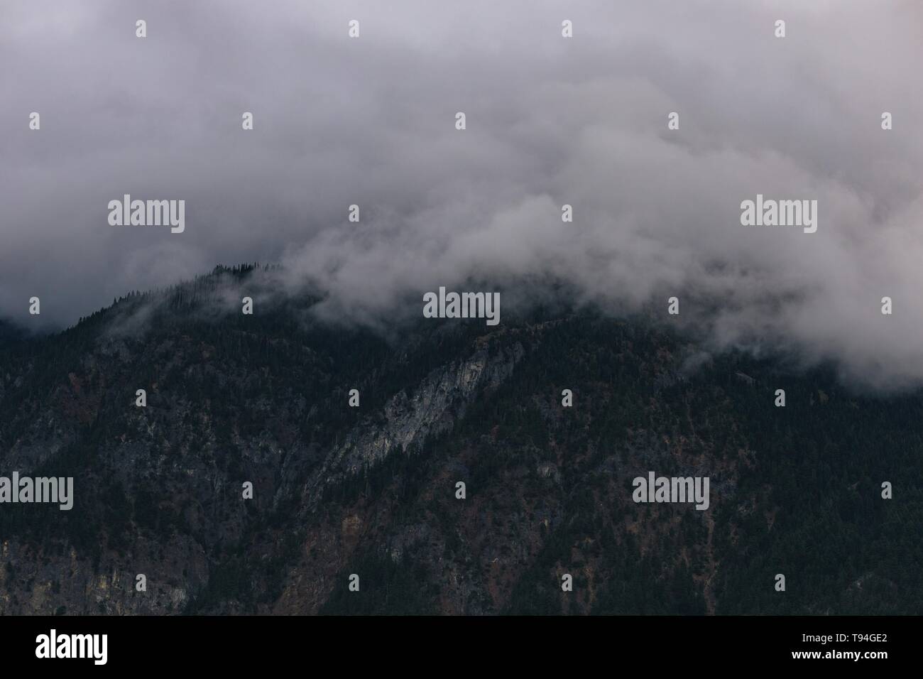 Enveloped in mist rock hi-res stock photography and images - Alamy