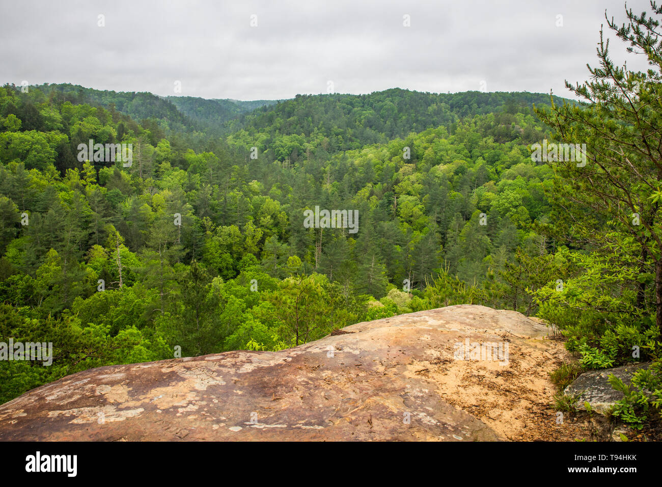 Scenes from the Red River Gorge, Kentucky, USA. Stock Photo