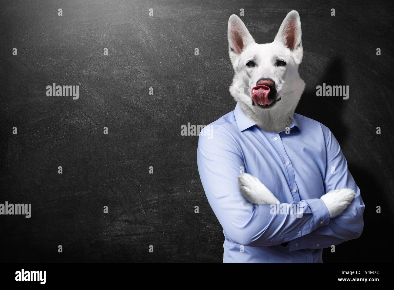 Animalistic hungry dogman. Business and hunger concept Stock Photo Alamy