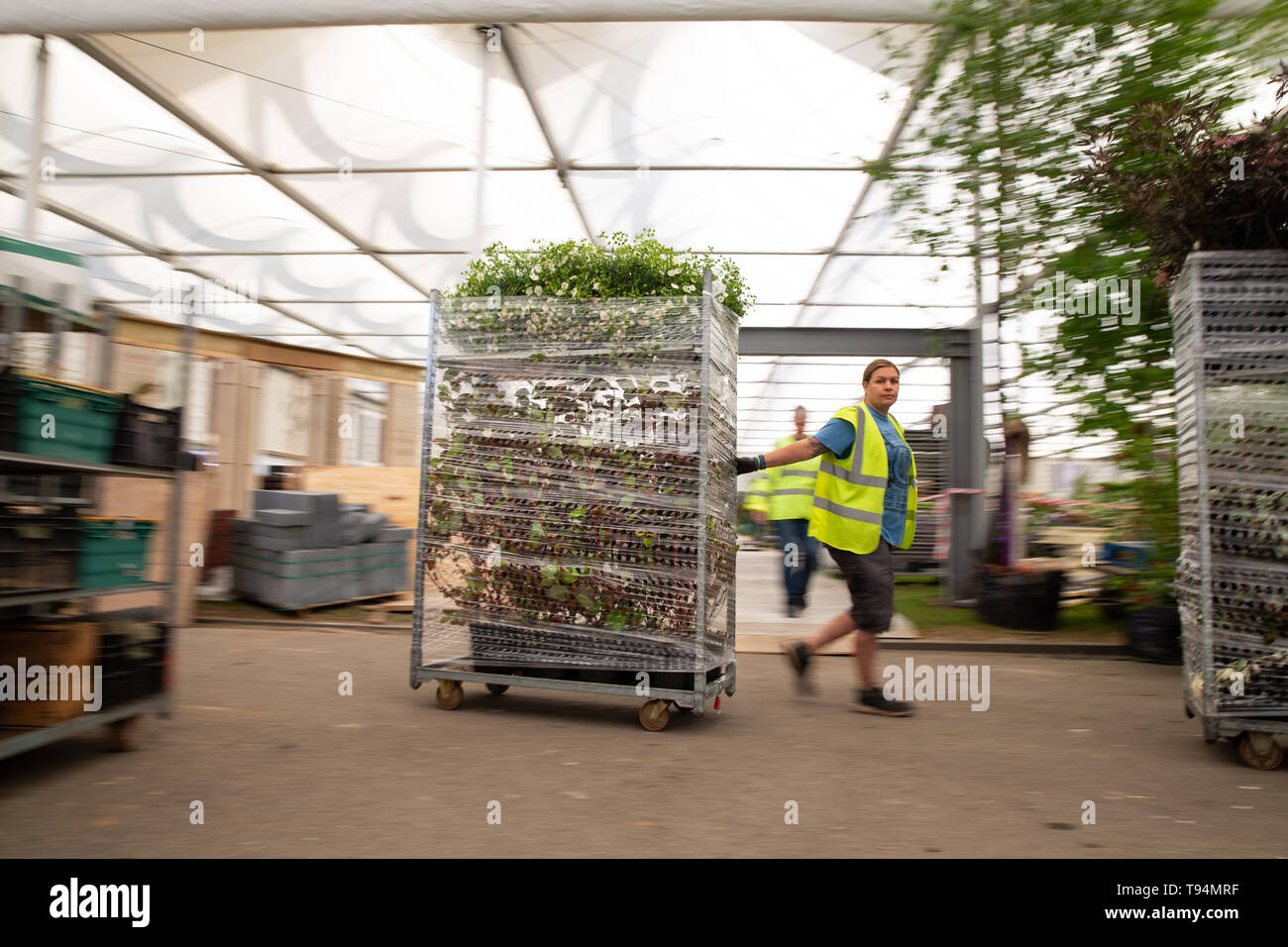 Flowers and plants are transported during preparations for the RHS Chelsea Flower Show at the Royal Hospital Chelsea, London. Stock Photo