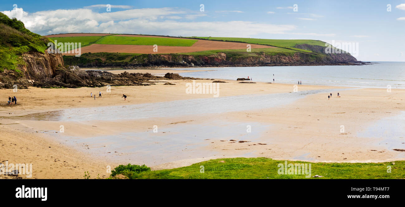 Panoramic view over Meadowsfoot Beach, Mothecombe, South Devon, a sandy cove at the mouth of the River Erme Stock Photo