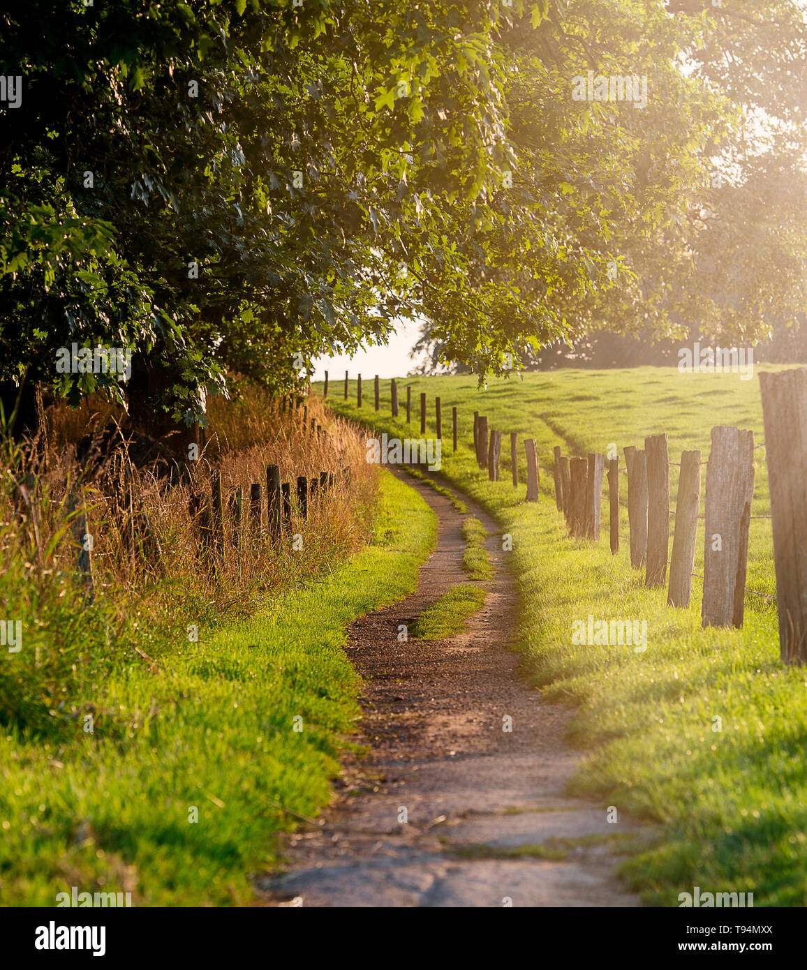 green park in Germany Stock Photo Alamy