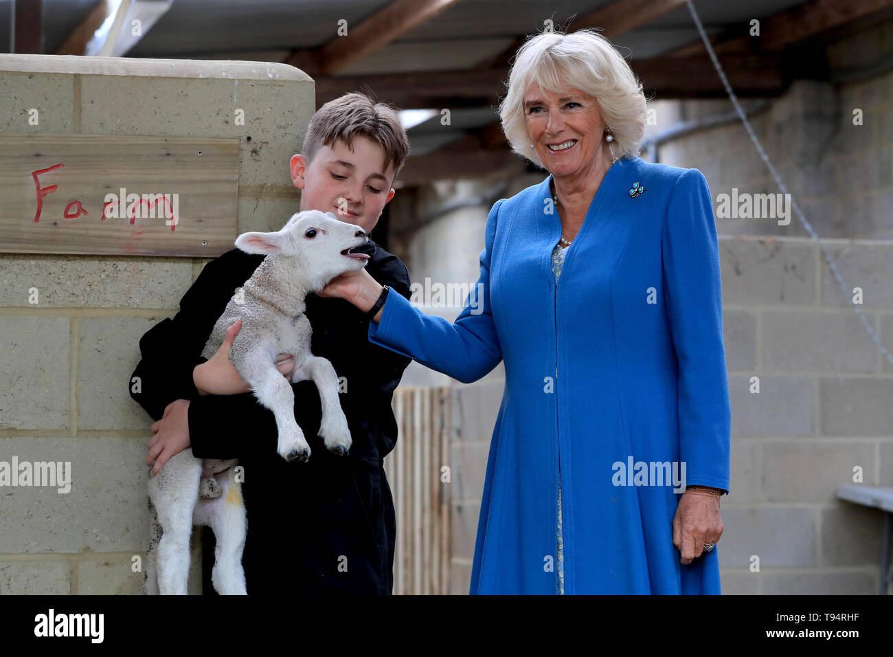 The Duchess of Cornwall meets a young lamb held by a student during a ...