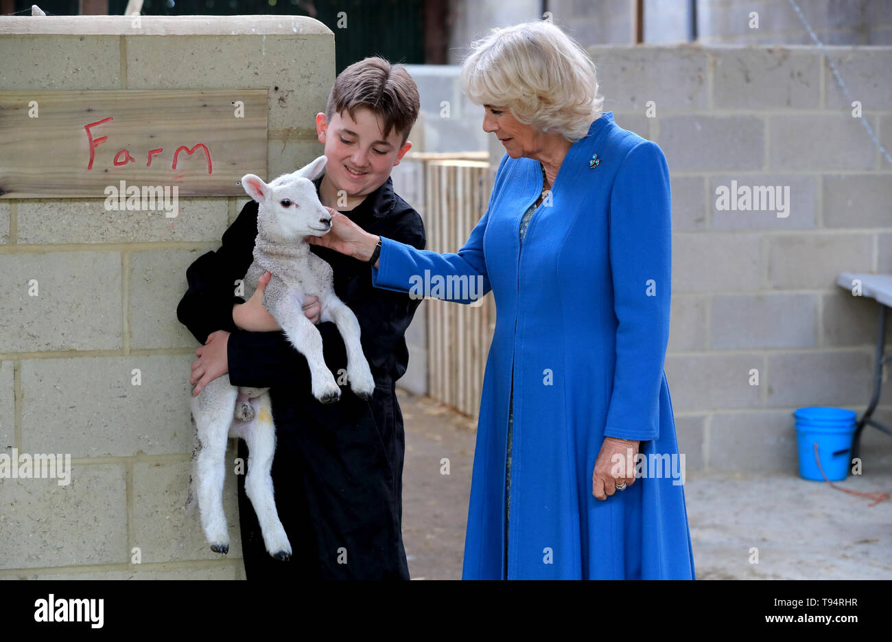 The Duchess of Cornwall meets a young lamb held by a student during a ...