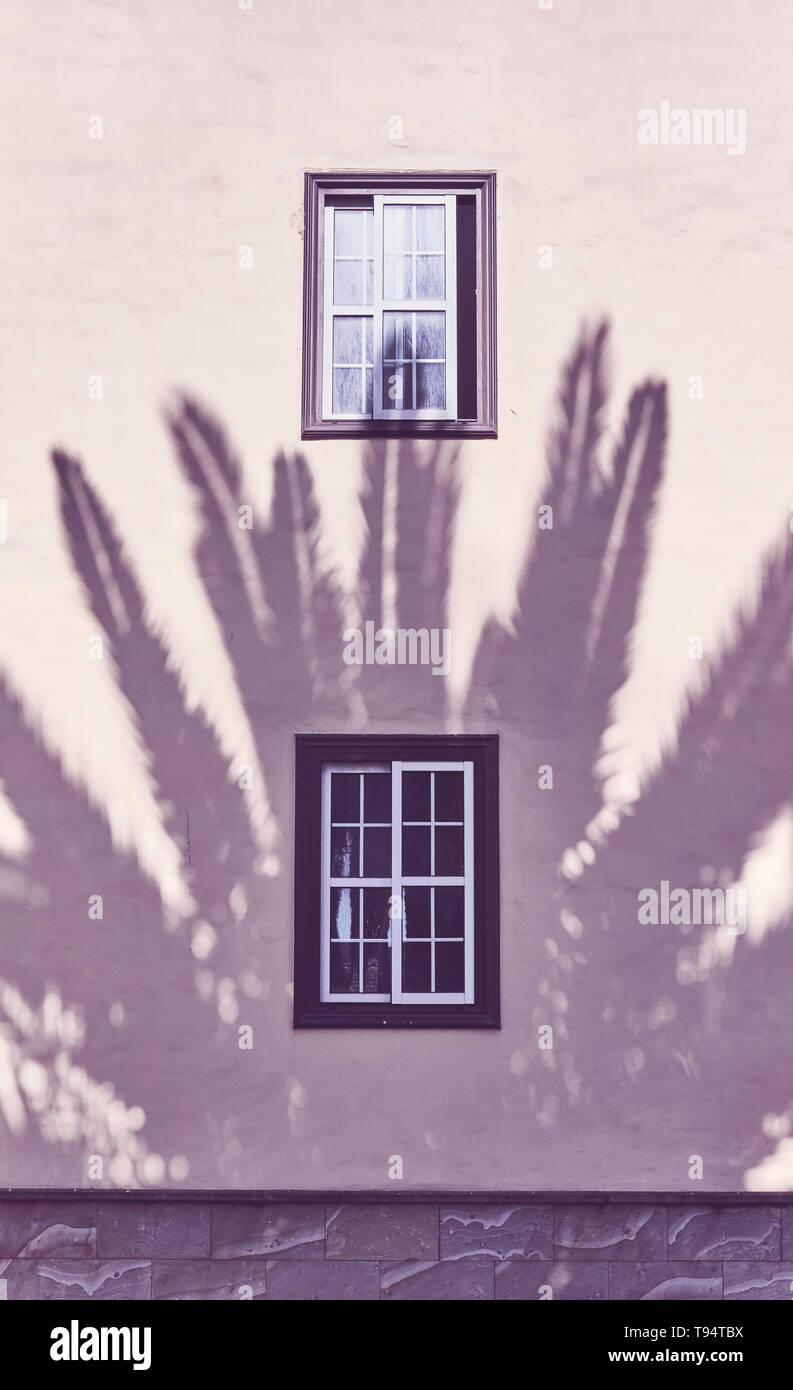 Shadow of a palm tree on a building wall, color toning applied. Stock Photo