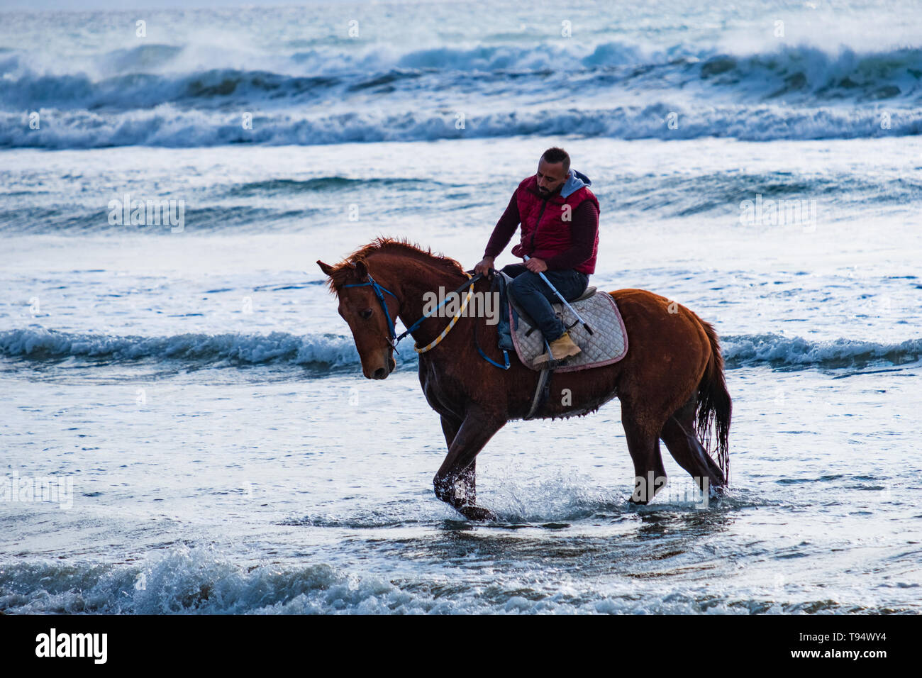 Ayia Eirini, Cyprus - 24 March, 2019: Man riding on a brown galloping horse in the sea waters of Ayia Erini beach in Cyprus against a rough sea Stock Photo