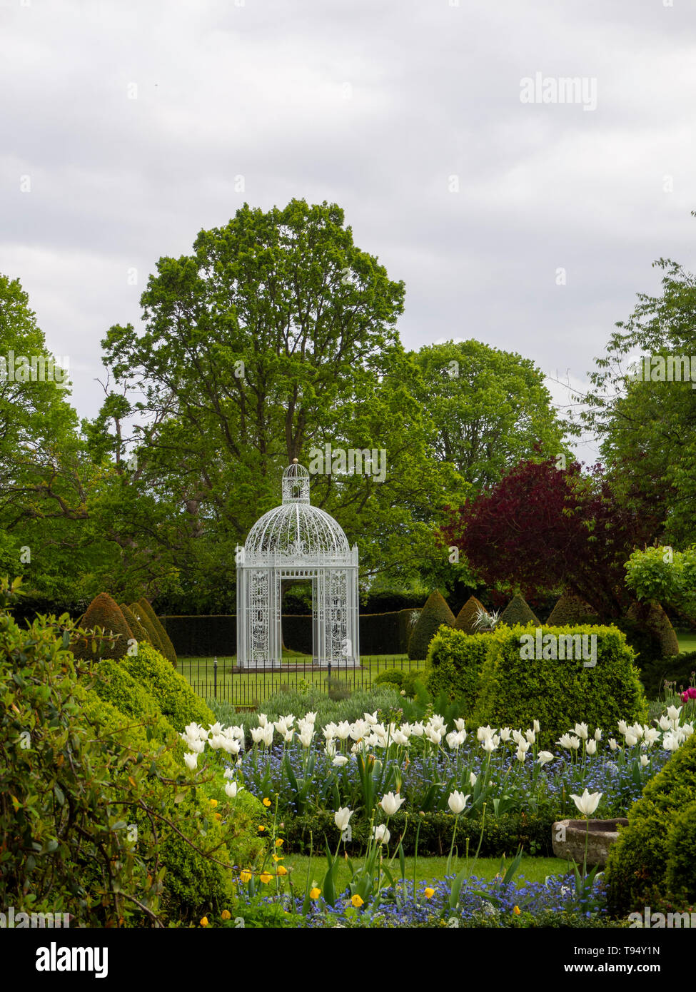 Chenies Manor Gardens, Parterre with White Pagoda bordered by White Tulip Triumphator Portrait view with tall trees, topiary and pastel blue sky. Stock Photo