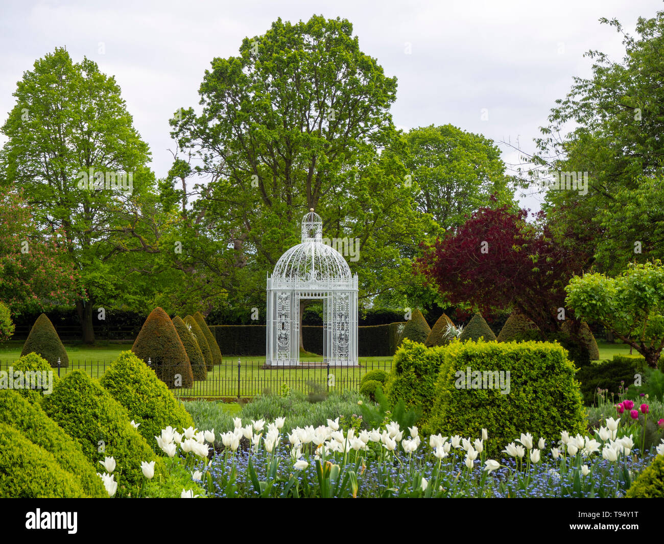 Chenies Manor Gardens, Parterre with White Pagoda bordered by White Tulip Triumphator Stock Photo