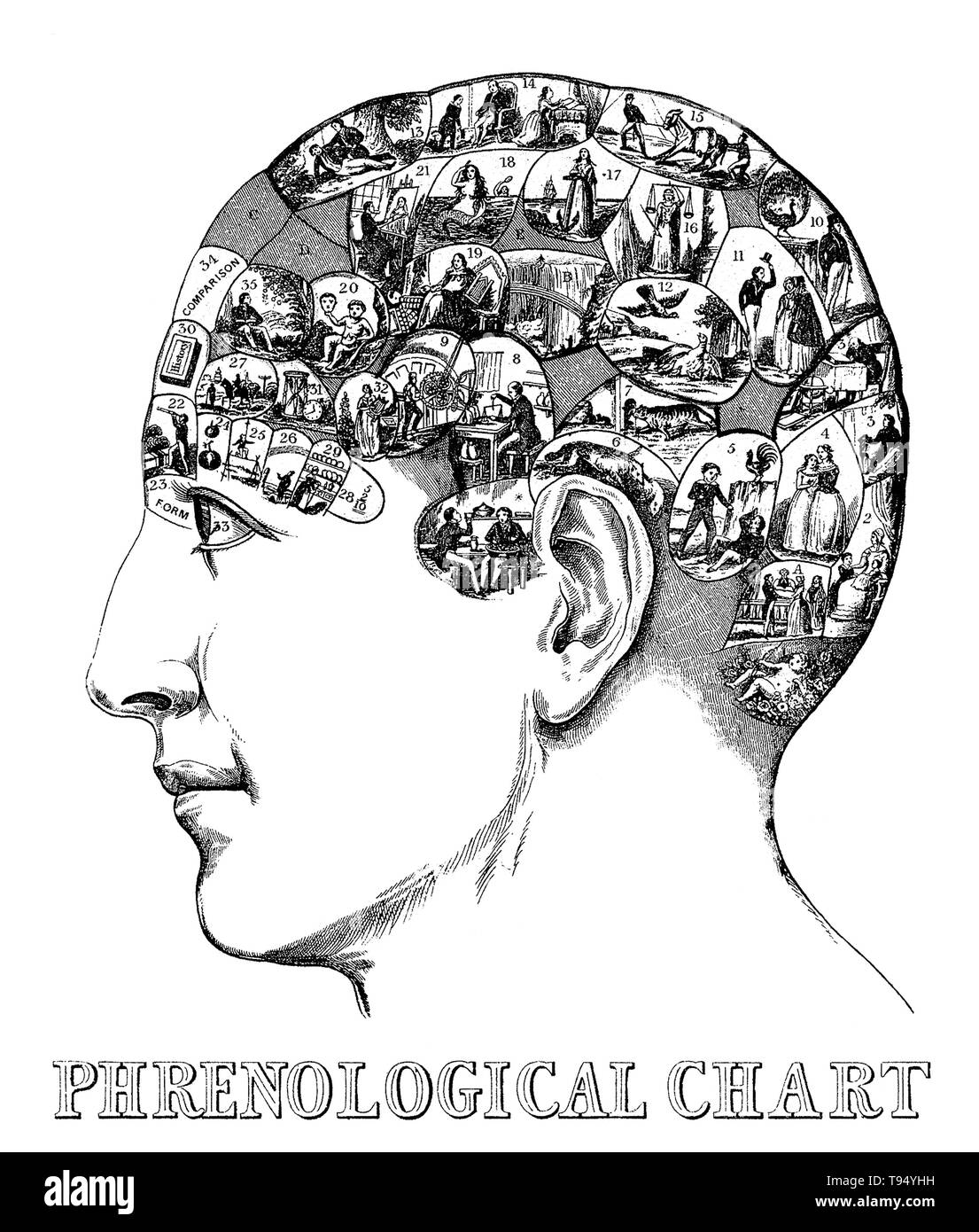 Entitled: 'Head containing over thirty images symbolizing the phrenological faculties by Drs. Gall & Spurzheim.' Phrenology is a pseudoscience primarily focused on measurements of the human skull, based on the concept that the brain is the organ of the mind, and that certain brain areas have localized, specific functions or modules. Although both of those ideas have a basis in reality, phrenology extrapolated beyond empirical knowledge in a way that departed from science. Stock Photo