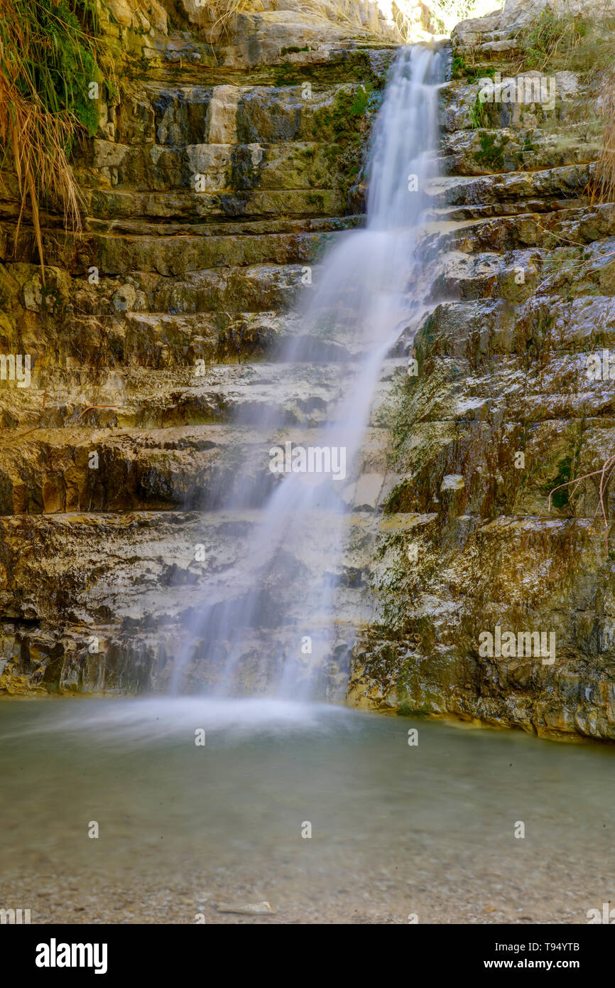 Israel, Dead Sea, Ein Gedi national park the waterfall in Wadi David Stock Photo