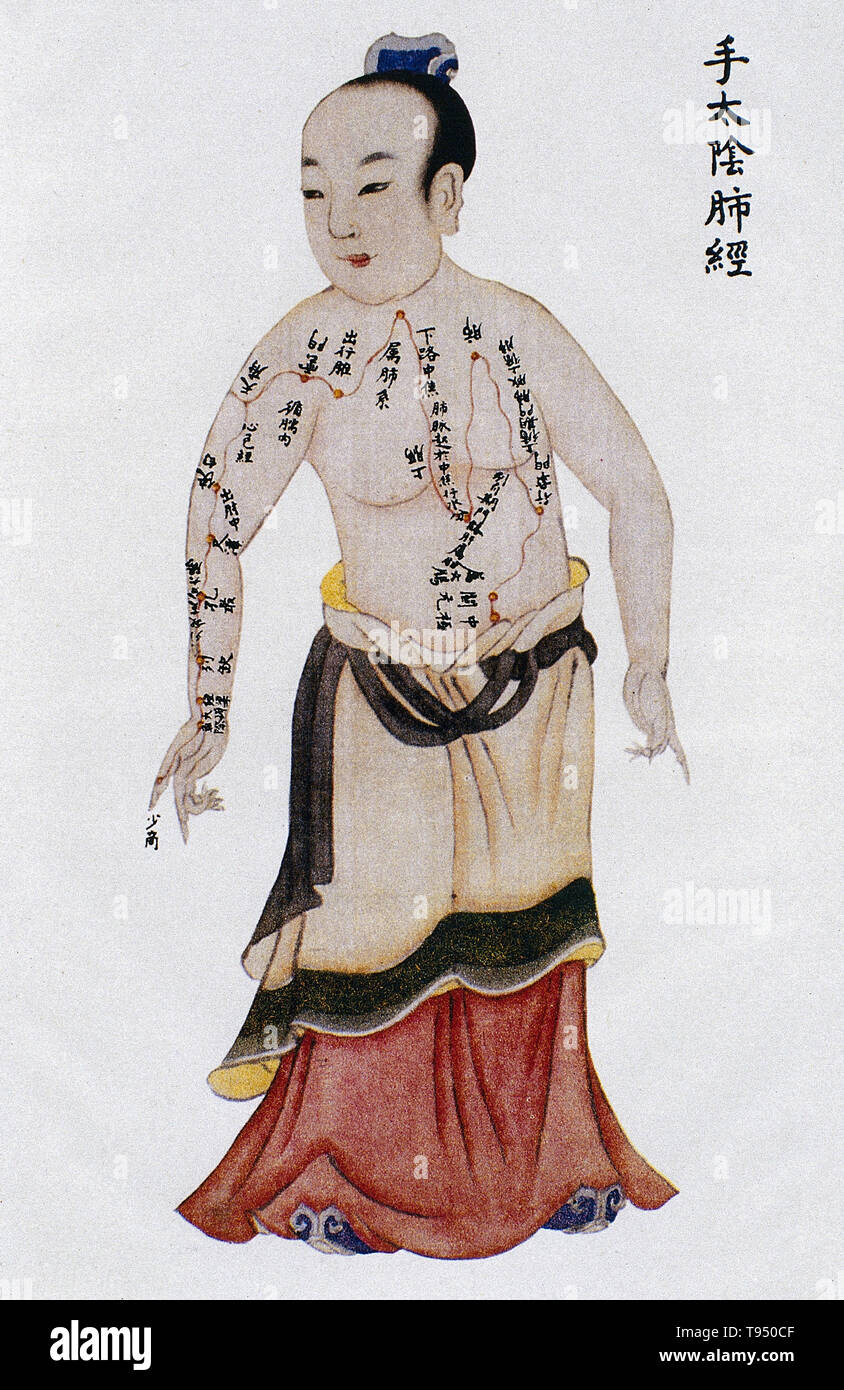 Illustration showing the lung channel of arm taiyin from Renti jingmai tu (Illustrations of the Channels of the Human Body), a manuscript text executed during the Kangxi reign period of the Qing dynasty (1662-1722). Acupuncture is a form of alternative medicine in which thin needles are inserted into the body. It is a key component of traditional Chinese medicine (TCM). TCM theory and practice are not based upon scientific knowledge, and acupuncture is a pseudoscience. Stock Photo