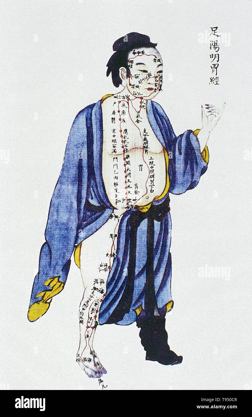 Illustration showing the stomach channel of leg yangming from Renti jingmai tu (Illustrations of the Channels of the Human Body), a manuscript text executed during the Kangxi reign period of the Qing dynasty (1662-1722). Acupuncture is a form of alternative medicine in which thin needles are inserted into the body. It is a key component of traditional Chinese medicine (TCM). TCM theory and practice are not based upon scientific knowledge, and acupuncture is a pseudoscience. Stock Photo